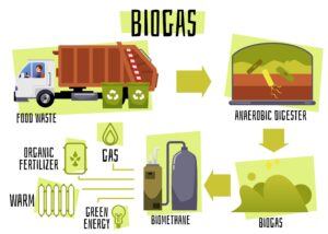cbg plant set up by green eco fuel